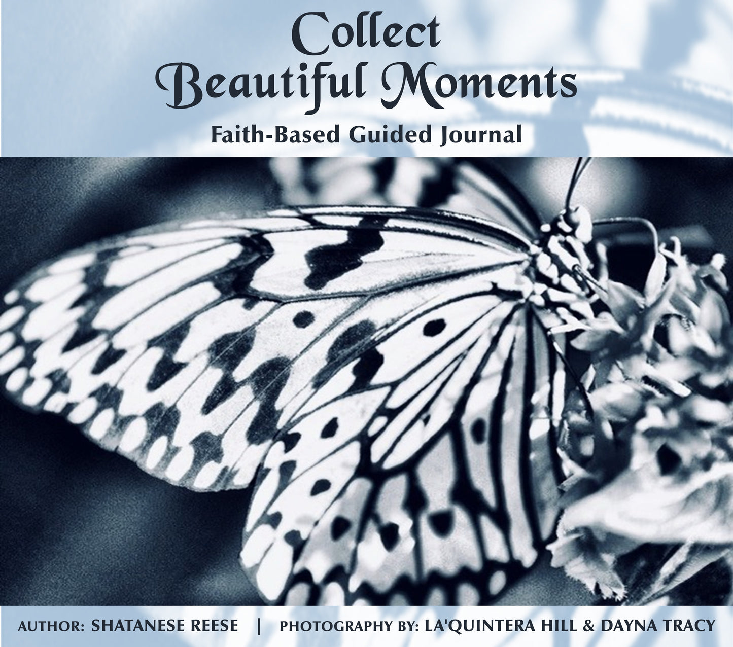 Collect Beautiful Moments